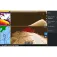 Lowrance 带模块的 Structurescan 3D