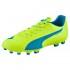 Puma Evospeed 5.4 AG Football Boots