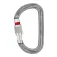 Petzl Am D Screw Lock snap hook