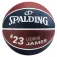 Spalding NBA LeBron James Basketball Ball