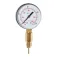 Salvimar Vintair Pressure Manometer 게이지