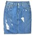 Pepe jeans Penny Skirt