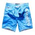 Superdry Premium Print Neo Swimming Shorts