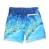 Superdry Premium Print Neo Swimming Shorts