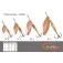 Mapso Cullereta Spark 7g 65 mm 5 unitats