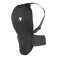 Dainese snow Flexagon back protector