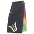 Underwave Rainbow Swimming Shorts