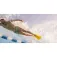 Finis Edge Schwimmflossen