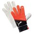 Puma Evopower Grip 4.3 Goalkeeper Gloves