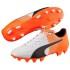Puma Chaussures Football Evospeed 3.5 Cuir FG