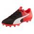 Puma Chaussures Football EvoSpeed 4.5 AG