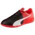 Puma EvoSpeed 5.5 IN Indoor Football Shoes