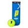 Prince Palline da padel Open