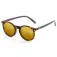 Ocean sunglasses Lizard polarized sunglasses