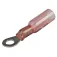 Seachoice Terminale ad anello termorestringente 3 a 1