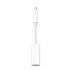 Apple Thunderbolt To Firewire Adapter