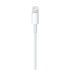 Apple Lightning Do USB 2m