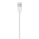 Apple 闪电到USB 2m