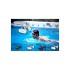 Sunstech Fones De Ouvido Esportivos Argos Mp3 Waterproof