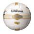 Wilson Endless Summer Air Disc Kit Official Volleybal Bal