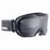 Alpina Pheos S MM M40 Ski Goggles