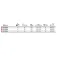 Daiwa Shorecast Surfcasting-snelle