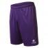 Le coq sportif Fiorentina Training Short Hosen