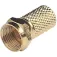 Glomex Connector mascle xapat Or