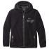 Patagonia LW Synch Snap T Hoody