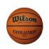 Wilson Evolution DBB 275 Game Youth Basketball Ball