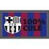 Tarrago FC Barcelona Teppich