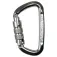 Climbing Technology D-Shape TG snap hook