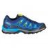 Salomon X-Ultra Goretex Hiking Shoes