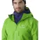 Arc’teryx Giacca Alpha FL