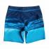 Quiksilver Hold Down Vee 19´´ Zwemshorts