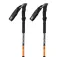 Climbing technology Bastons Alta Via