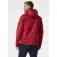 Helly hansen Chaqueta Crew Midlayer