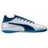 Puma Evotouch 3 It Indoor Football Shoes
