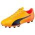 Puma Chaussures Football Evospeed 17.4 AG
