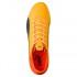 Puma Chaussures Football Evospeed 17.5 AG
