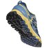 Salewa Chaussures Trail Running Multi Track