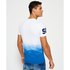 Superdry T-Shirt Manche Courte Premium Goods Tropical