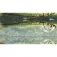 Jigskinz Blueback Herring