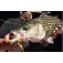 Jigskinz Blueback Herring