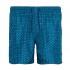 Timberland Sunapee Lake Printed Swimming Shorts