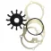 Johnson pump F5B Impellersett