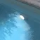 Gre LED-projektor til nedgravet pool