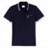 Lacoste Sport Colored Accent Lightweight Knit