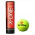 Tecnifibre Balles Tennis X One