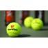 Tecnifibre X One Tennis Balls